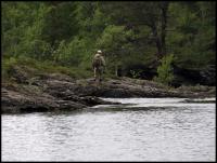 Bifogad bild: norge2010augusti771.jpg